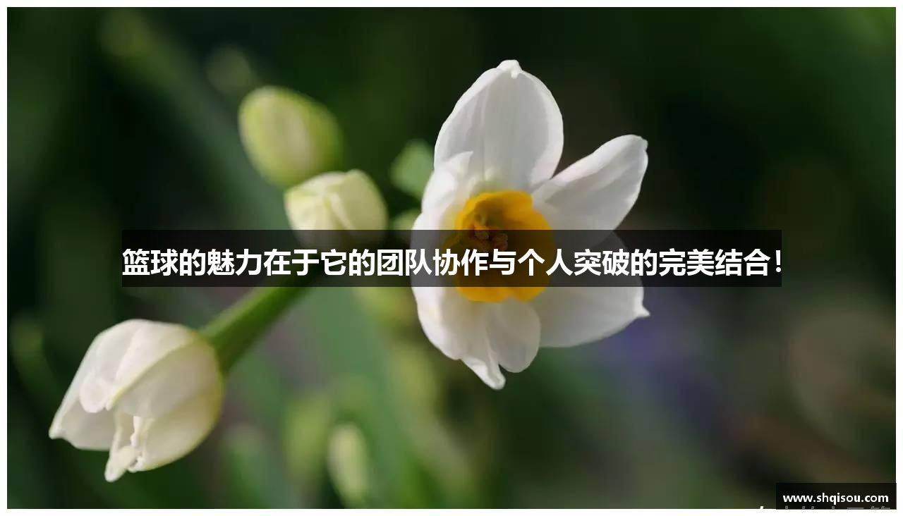  UED体育官方网站