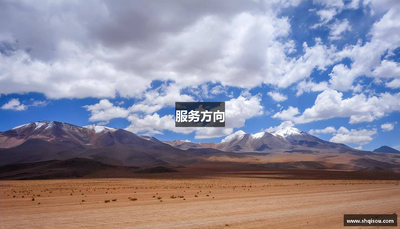 服务方向